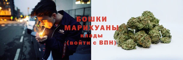 крисы Верея