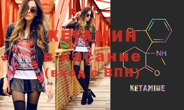 крисы Верея